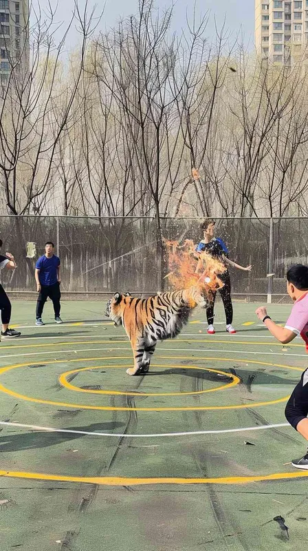 将图片https://bpic.588ku.com/element_pic/22/12/25/667fa1ee6285e6e11d760aea2976a7c5.jpg 融和道参考图中，老虎向右侧大吼 - style2部分