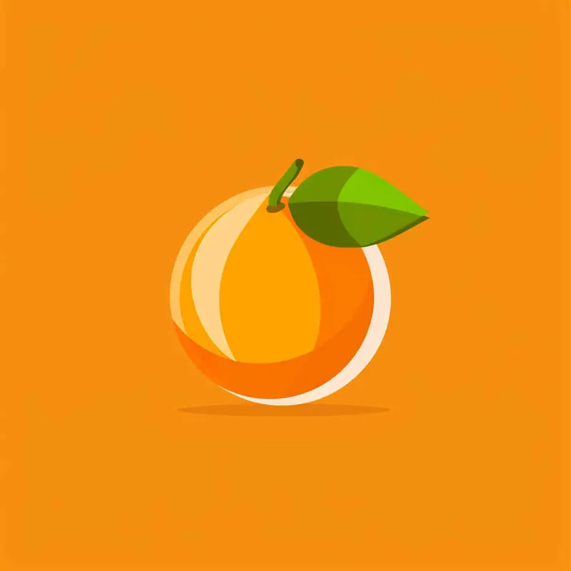Flat vector logo of a orange, orange, trending on Dribble - style3部分