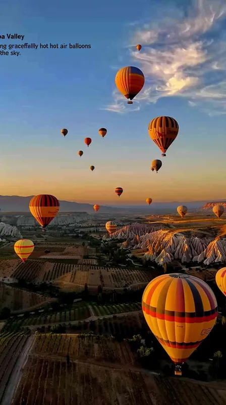 Napa Valley Vineyard, with hot air balloons floating in the sky - style1部分