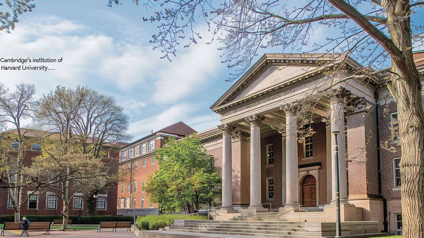 Harvard University - style4部分