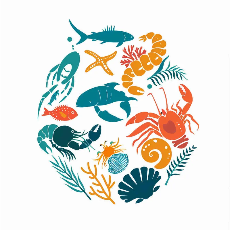 热带，logo，海洋生物，鱼，虾，螃蟹，海螺，贝壳，平面设计，白色背景 - style1部分