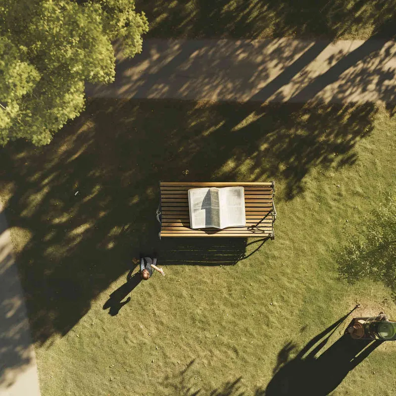 A 32 volume literary novel on a bench in the park, with afternoon sunlight shining on the cover of the book. Photo taken from a 45 degree overhead view, close-up,--ar 1:1 --v 5.2 - style2部分
