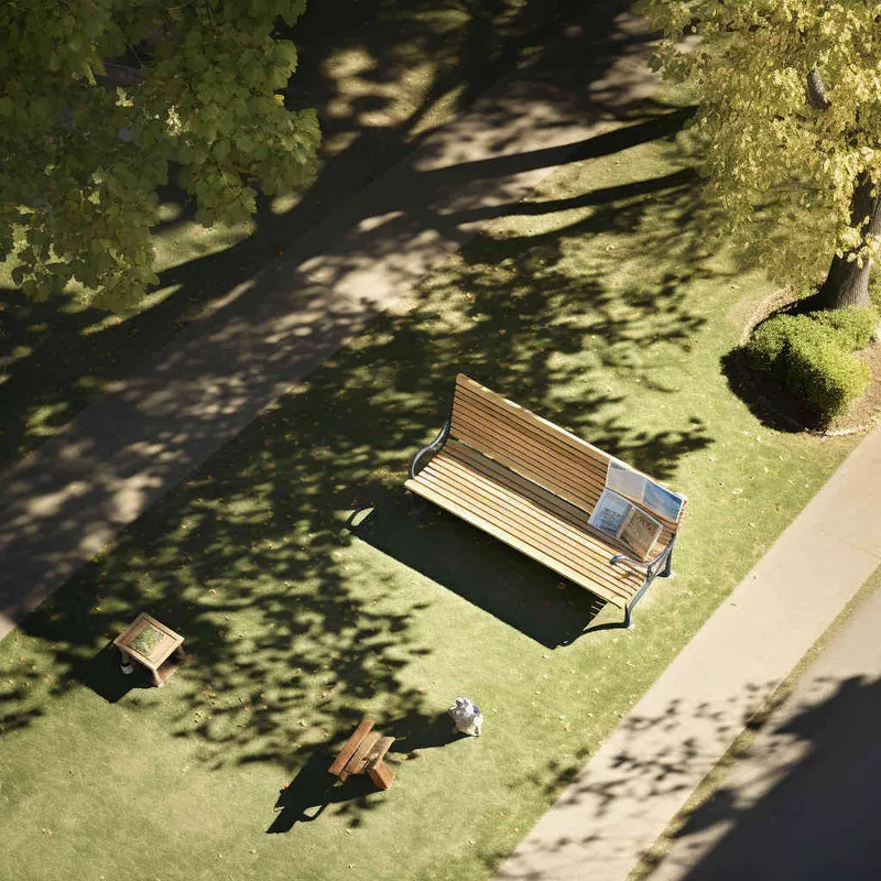 A 32 volume literary novel on a bench in the park, with afternoon sunlight shining on the cover of the book. Photo taken from a 45 degree overhead view, close-up,--ar 1:1 --v 5.2 - style4部分