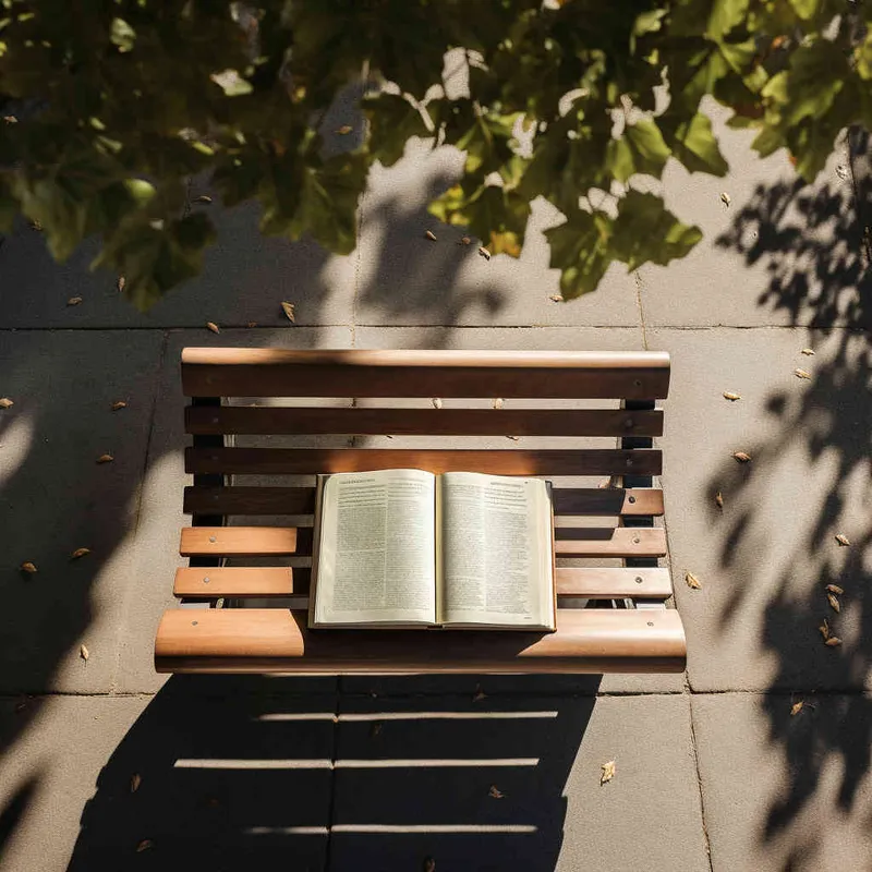 a book is on a bench in the park, with the afternoon sunlight shining on the cover of the book. Photo taken from a 45 degree overhead view, close-up,--ar 1:1 --v 5.2 - AI绘画作品展示 | Midjourney中文版生成