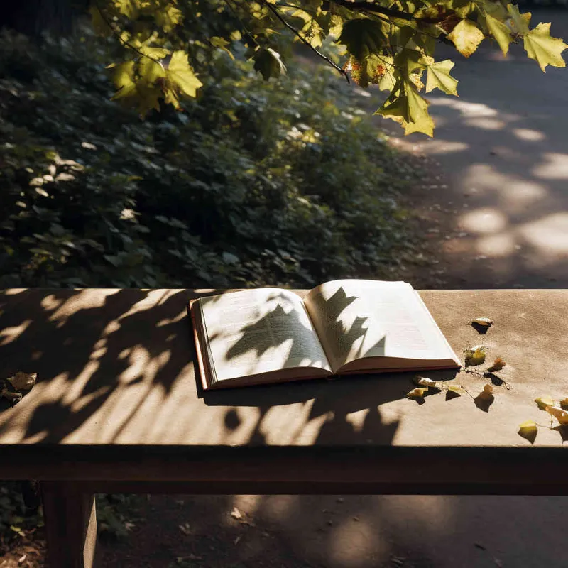 a book is on a bench in the park, with the afternoon sunlight shining on the cover of the book. Photo taken from a 45 degree overhead view, close-up,--ar 1:1 --v 5.2 - AI绘画作品展示 | Midjourney中文版生成