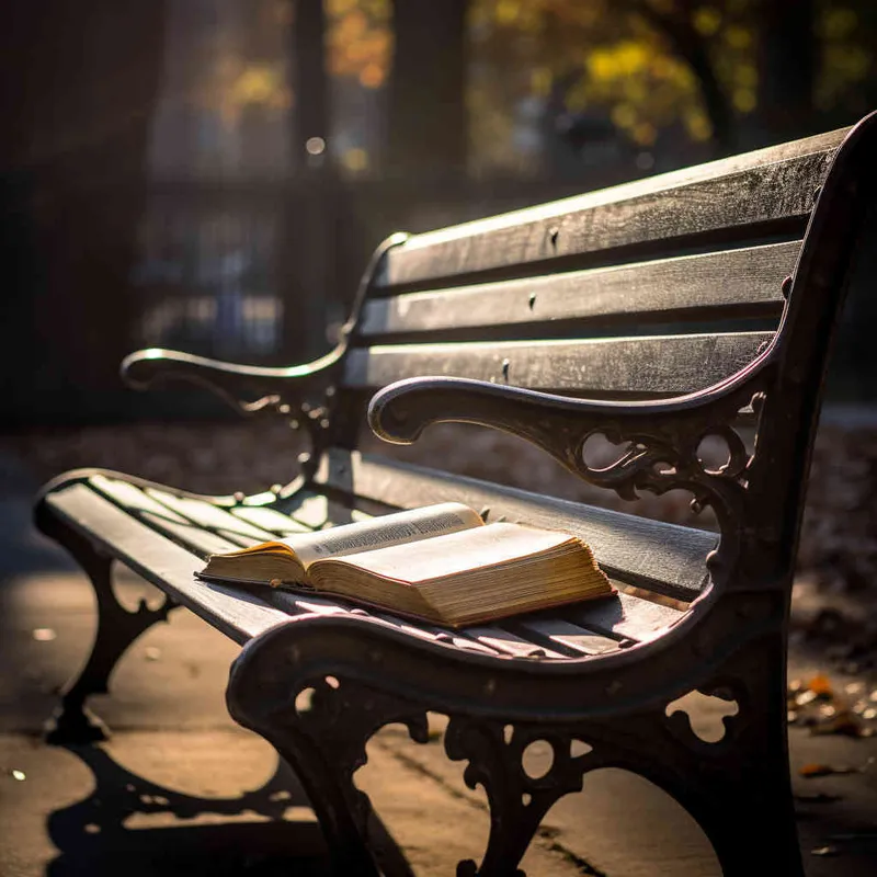 A closed book is placed on a bench in the park, and the afternoon sunlight shines on the cover of the book. The photo style, with a 45 degree angle of view, is highly visible to adults,--ar 1:1 --v 5.2 - style2部分