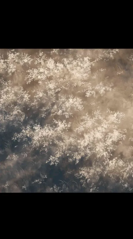 Aerial view of dense white flowers and dark brown grasses, low angle shot, double exposure photography, hazy atmosphere, color gradient, Chinese ink painting style, fantasy art, ultrahigh definition resolution, super details, soft focus effect, natural light, symmetrical composition, smoke filled, mysterious mood --ar 9:16 --niji 6 --sref https://www.popo8.com/host/data/202404/13/10/4b82260.jpg - style3部分