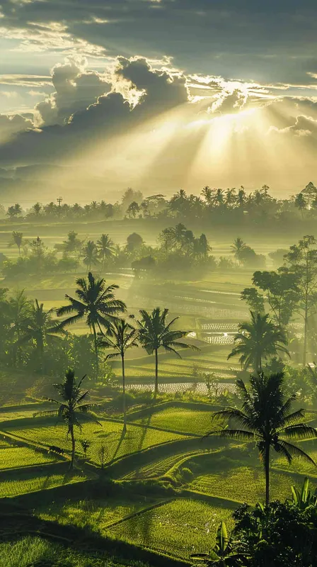 English: The midday sun shines on the farmland, where farmers are stripped to waist, sweating profusely. - AI绘画作品展示 | Midjourney中文版生成
